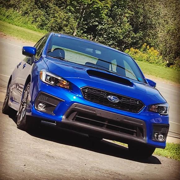 Meet your Posher, Kylee - Picture 1 of 1